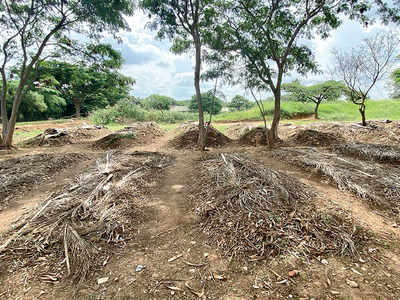 Vermicompost comes to Lalbagh