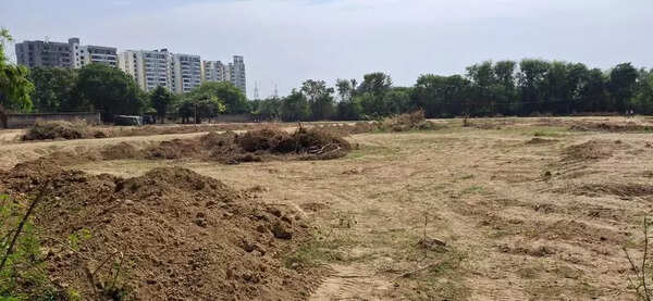Over Rs 7 lakh recovered in Agra illegal tree felling case, UP govt tells NGT