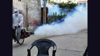 Chhijarsi and Nithari high-risk areas for dengue: Noida health department 
