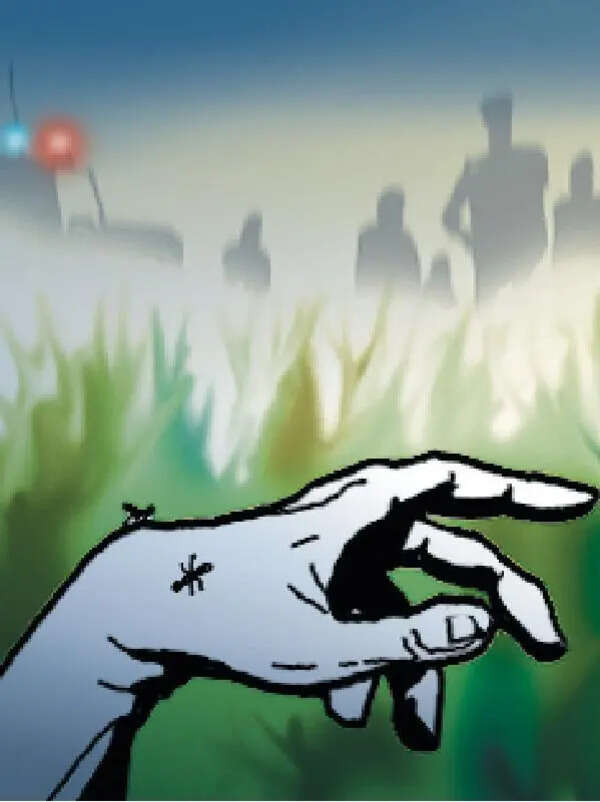 24-yr-old woman killed by husband in Chandur Bazar