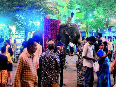 Furore after elephant made to walk in night procession