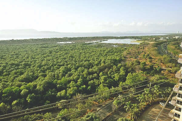 Union Ministry of Environment, Forests & Climate Change asks Maharashtra government to examine complaints regarding Versova-Bhayander Coastal Road and take necessary action