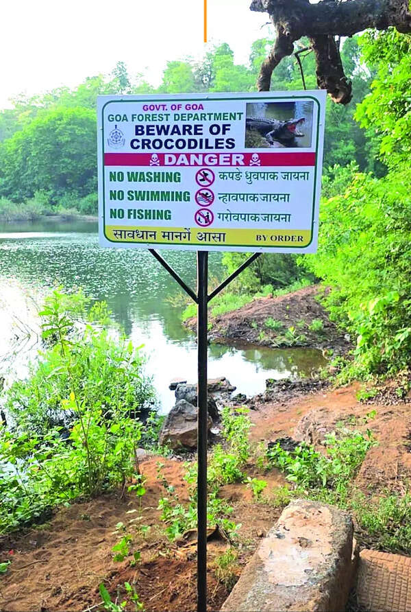After croc attack, WRD plans to build clothes-washing facilities