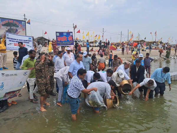 30K fish fingerlings released to restore Ganga ecology