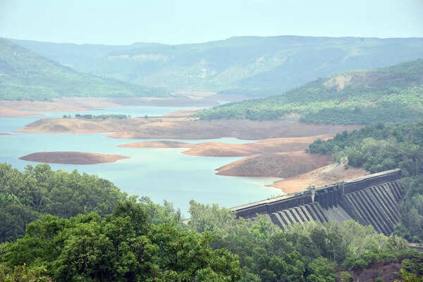 Koyna dam storage down to 16.15%; power generation curtailed