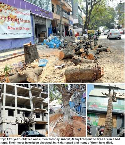 Bengaluru's RR Nagar’s trees are losing out to its business complexes