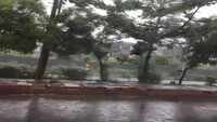 Delhi-NCR experiences light rain, gets relief from soaring temperatures 