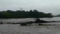 Assam floods: Borolia river washes away bamboo bridge in Tamulpur 