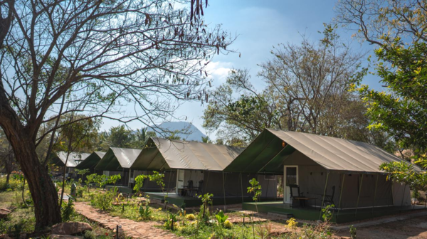 Tamil Nadu launches Luxury Tented Camp in Anamalai Tiger Reserve