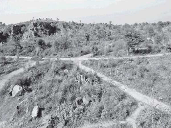 Proposal to build road through Aravali park put on backburner