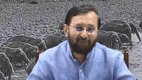 World Elephant Day Environment Ministry committed for betterment of jumbos, says Javadekar 