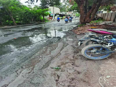 Grey water overflow breeds dengue fear