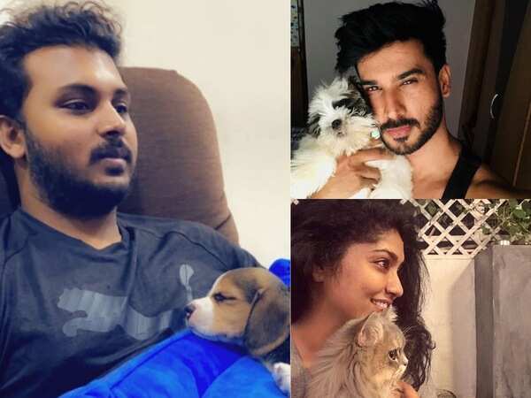 Exclusive! Samyukta Hornad, Manoranjan Ravichandra, Vinay Sindya reveal how spending time with their pets in lockdown is therapeutic