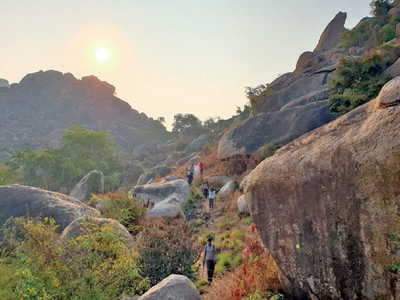 Trekkers, bikers are slowing hitting the trail again