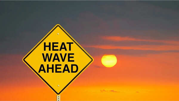 From 44.5°C heat to thunderstorms: IMD forecast for multiple states in India; what travellers need to know