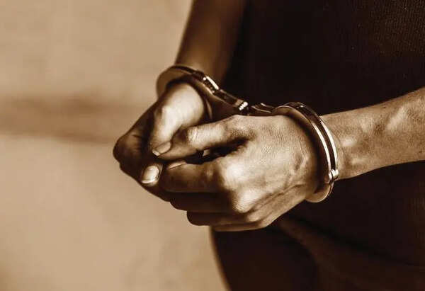 Gujarat: One held with IMFL worth 38.8L in Aravalli raid