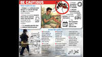 Goa sees decline in dengue cases with health centres stepping up efforts