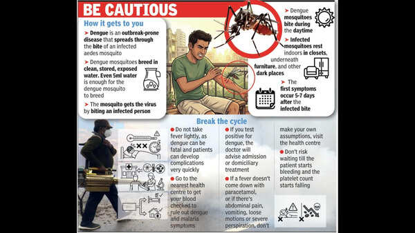 Goa sees decline in dengue cases with health centres stepping up efforts