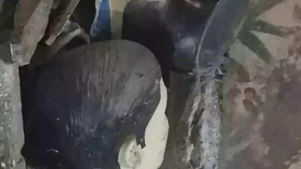 Kakori martyrs’ statues bulldozed in Shahjahanpur, sparks political outrage