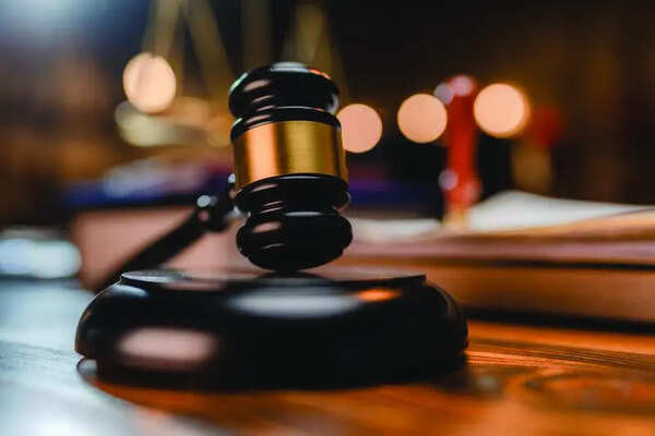 Domestic violence Act doesn’t confer ownership rights over property: HC