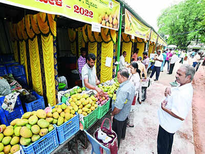 Tummy ache? Blame it on too many mangoes