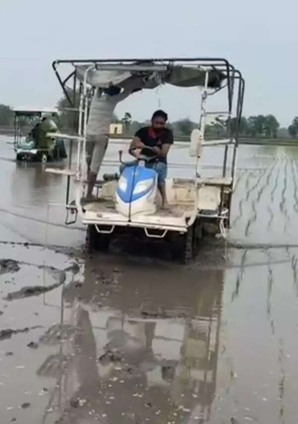 Planting paddy: The upside of using machines in the field