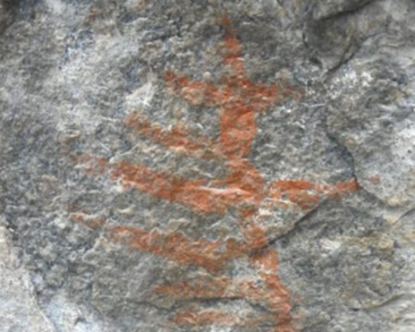 Want to know about Tamil Nadu’s prehistory?