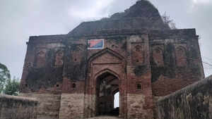 Is an archaeological marvel hiding near Chandigarh?