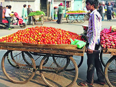 Couple of tomato thieves nabbed