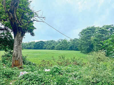 Flow of life in Kengeri