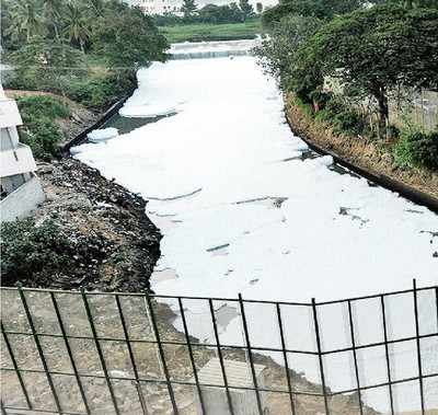 Bellandur Lake cure can solve garbage problem