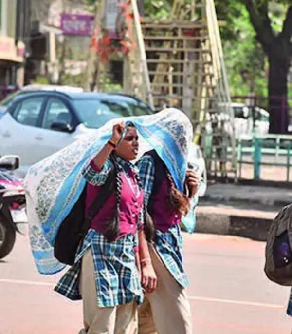 Govt authorises collectors to declare school holidays amid heatwave