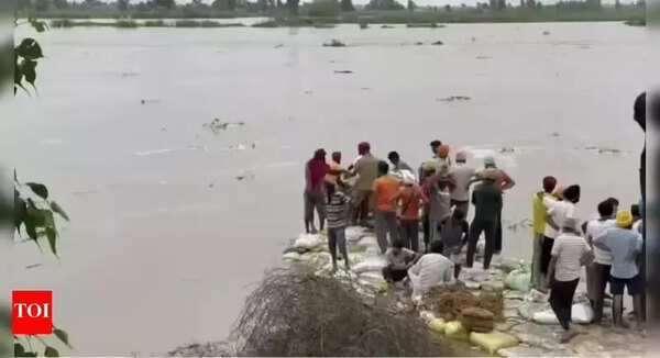 NGT pulls up Punjab over delay in floodplain demarcation along Satluj, seeks timeline