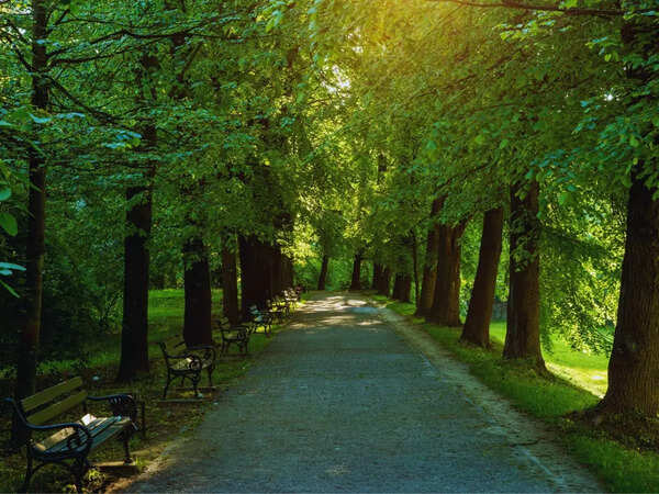 5 things to know about Maa Mundeshwari Wildlife Eco Park: Bihar’s first wildlife-themed sanctuary