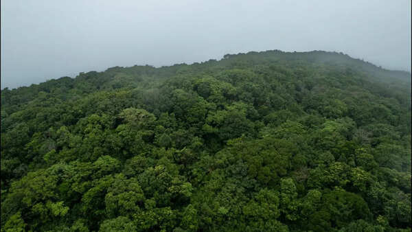 Avachitgad is Goa’s second highest peak, finds new study