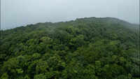Avachitgad is Goa&rsquo;s second highest peak, finds new study