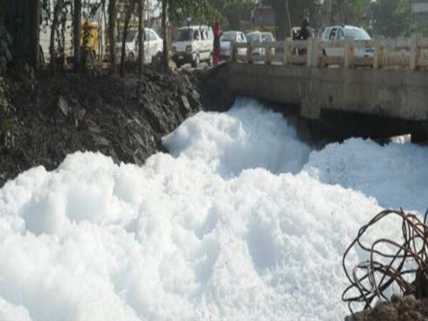 Now private firm offers to desilt Varthur Lake