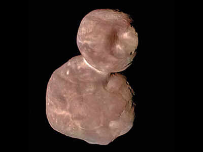 Nasa Evidence of water found on Ultima Thule NASA