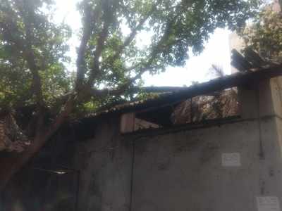 Tree collapses on roof of Thane Rural Police’s rest room, injures 3