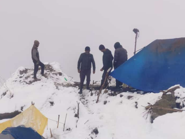 جمع الفياجرا الهيمالايا
