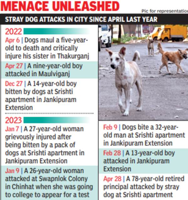 In Lucknow, King Medical University doctors among 5 injured in