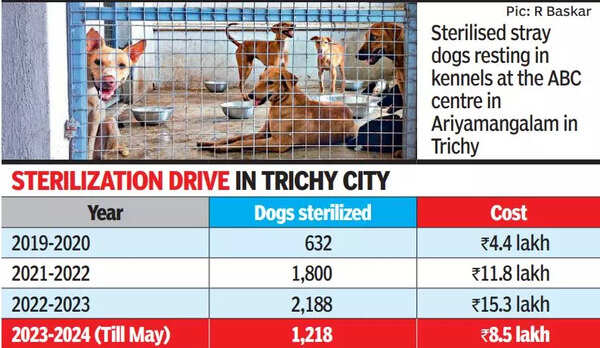 Abc: 3 More Abc Centres Help Raise Stray Dog Sterilisation Six Fold ...
