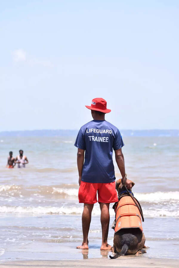 The paw squad is ready to save lives on Goa's beaches | Events Movie ...