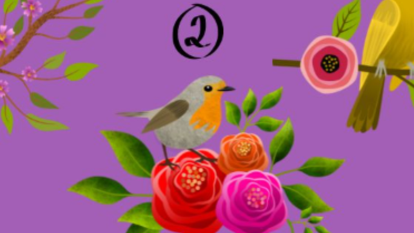 Personality test: The bird you choose reveals how you deal with ...