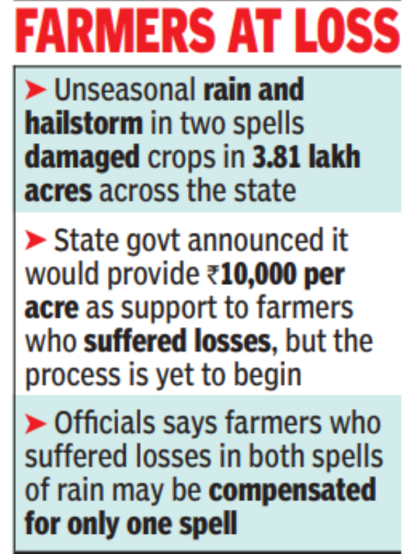 Unseasonal rains wrecked crops worth Rs 381 crore in Telangana ...