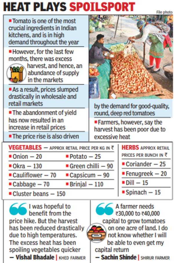 In 2 months, tomato prices rise 5fold in retail markets Pune News Times of India