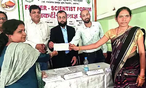 Gondia’s tribal farmers strike gold by growing high-value turmeric