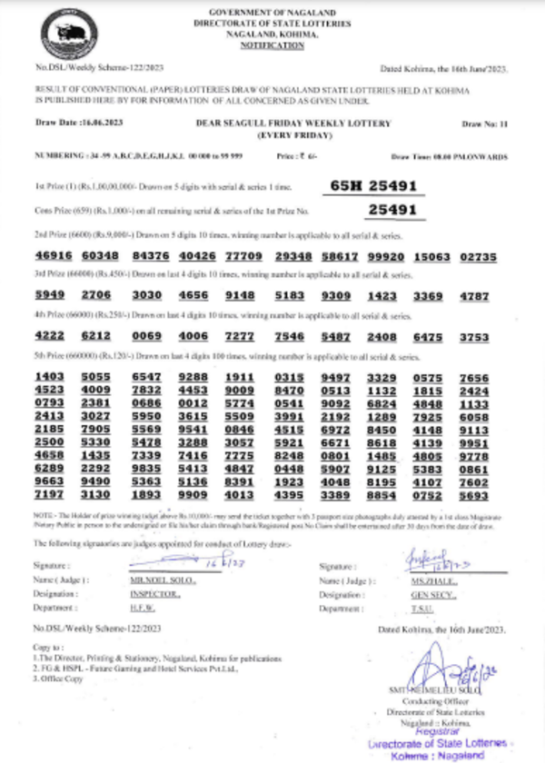 Nagaland Lottery results: Winning numbers of Dear Seagull Evening results
