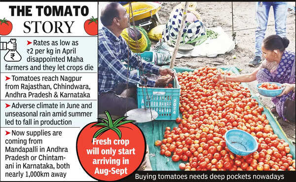 Over 1,000km journey for ₹100 a kg, tomatoes land consumers in a soup