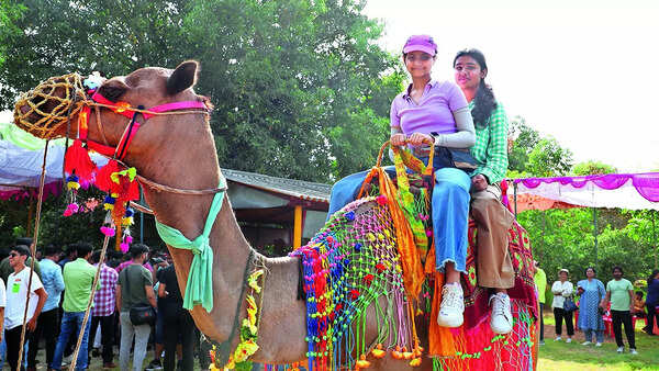 Aarya and Baaya